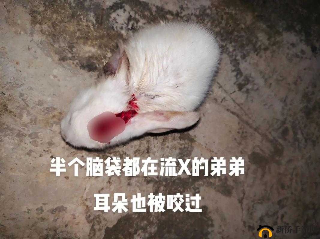 我的小兔兔被男生咬着的感觉真的好奇怪啊