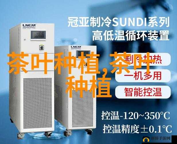 仙女棒坐姿图片大全：各种精美仙女棒坐姿图片展示集合
