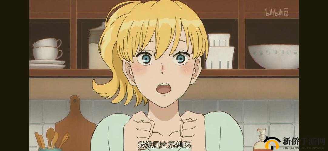 ACCA 少女 SDANVI：正义的守护与成长之路