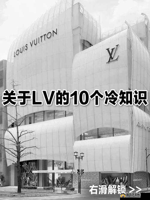 完全占有 1LVLH：关于其深入解读与全面剖析