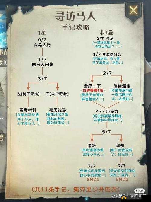 哈利波特禁林手记：探索神秘禁林的奇幻冒险与秘密故事