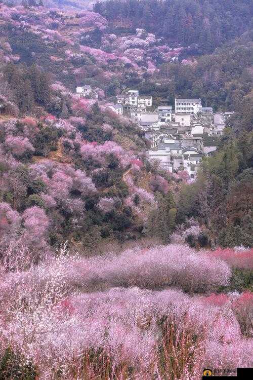 深入探索内心桃花源，一场追寻理想生活真谛的深刻哲学之旅