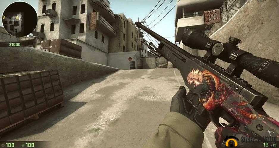 暴躁老阿姨 csgo 技巧大全视频：带你领略专业玩家的实战秘籍
