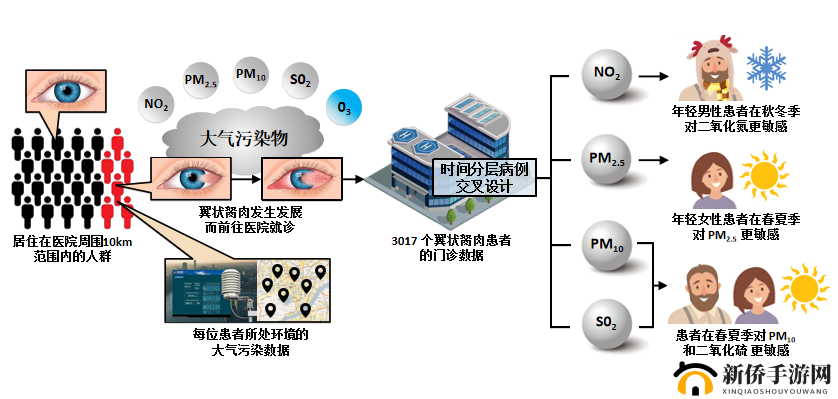 超级胬肉系统在医疗领域的创新应用与发展探索