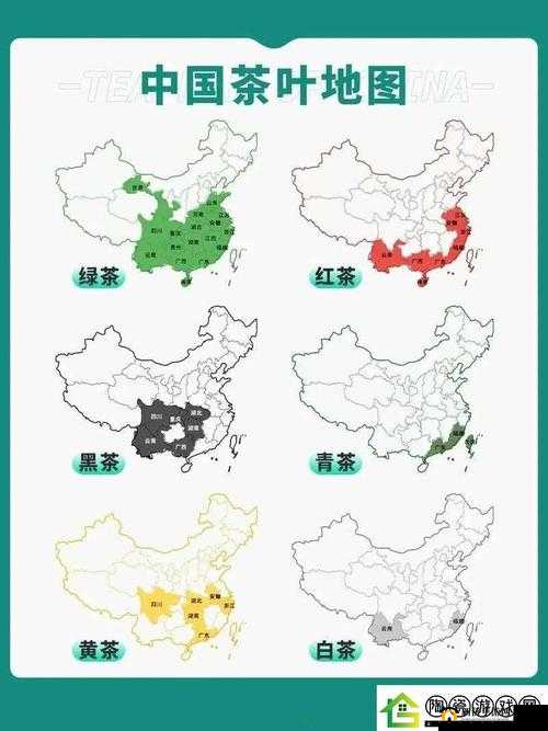 911 精品产国品一二三产区区别对比：全方位剖析差异