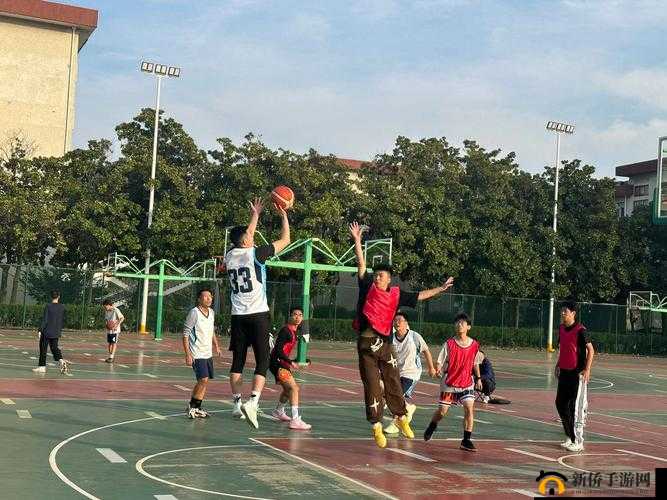 日日干干大学生：开启精彩校园生活之旅 探索无限可能