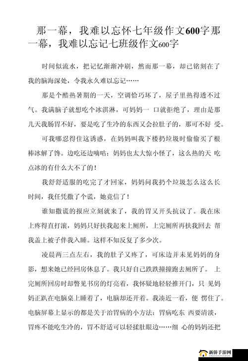 班长的那个在我那里待了一天作文：一段难以忘怀的经历