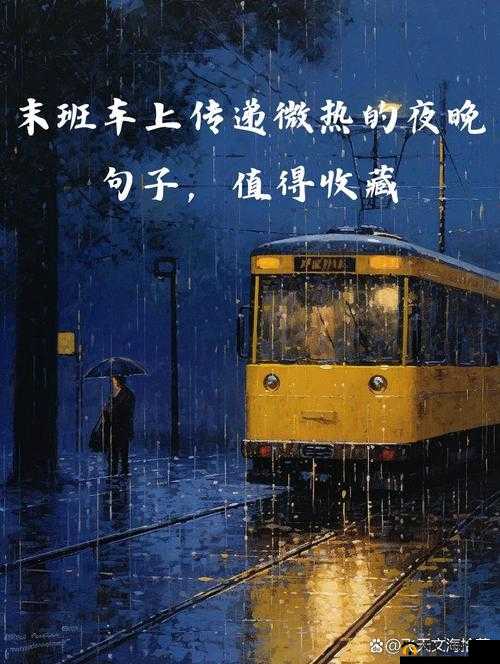 末班车上传递微热的夜晚：一段温暖心灵的独特旅程
