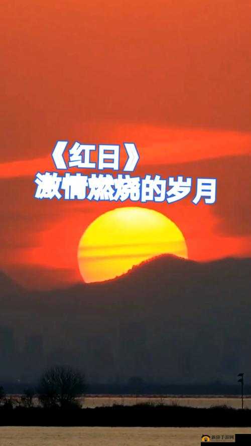 天天躁日日躁 AAAXXⅩ：激情燃烧的极致体验