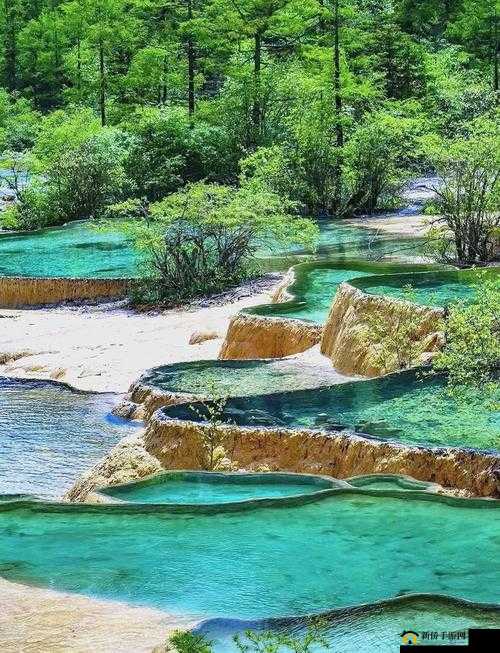 黄龙风景区溪水潺潺的秘密：探寻其背后的自然奇观与成因