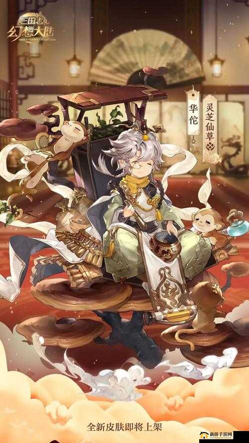 三国志幻想大陆深度解析，揭秘华佗阵容构建与无敌战斗策略之道