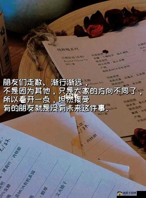 两个男孩在露营中意外成为好友，却因一个秘密渐行渐远