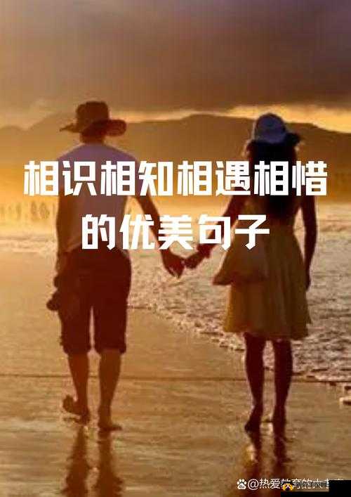 六次亲密接触：那些触动心灵的情感交融之旅