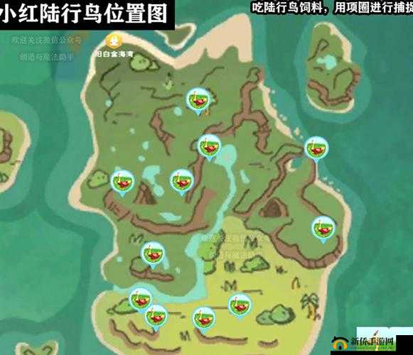 深入奇幻世界，揭秘魔法生态下的陆行鸟习性与生存环境探索