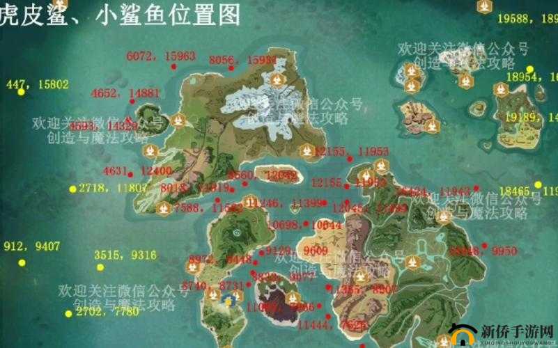 揭秘幼鲭鲨捕捉等级，深入探索创造与魔法世界的奇妙之旅