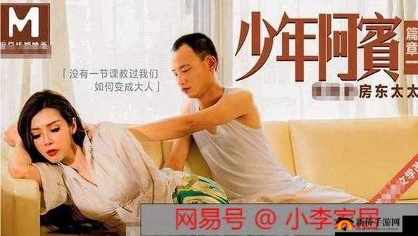 麻豆文化传媒官方网站入口免费：警惕非法网站避免上当受骗