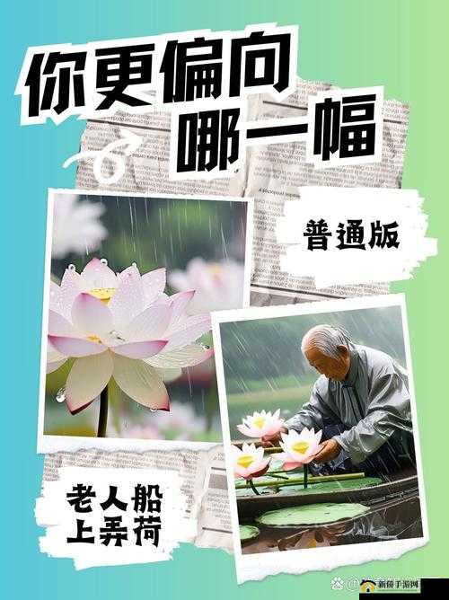 老人船上弄雨荷：岁月沧桑中一段独特的水乡风情故事