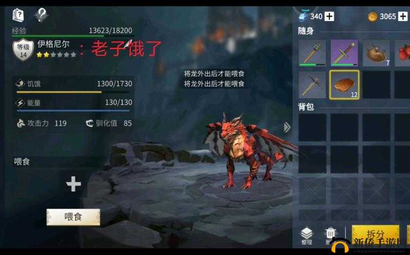 冰原守卫者，深入探索结晶的秘密与揭秘龙窝的奇幻之旅