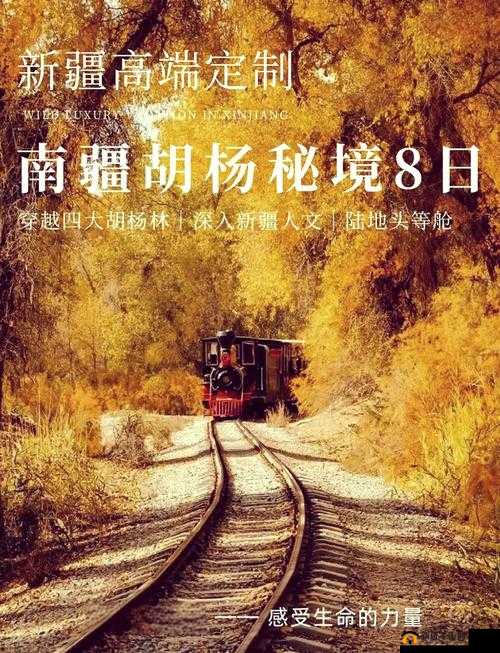 yw123lcom ：独特的网络平台探索之旅