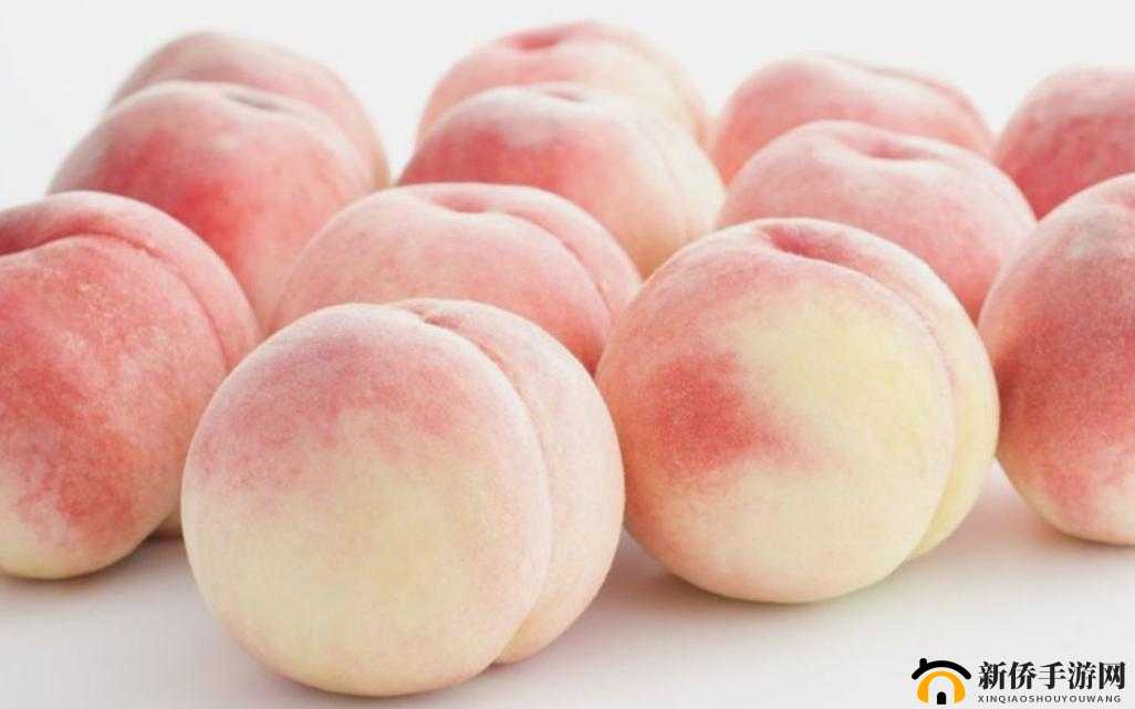 水蜜桃成视频人：探索未知的世界