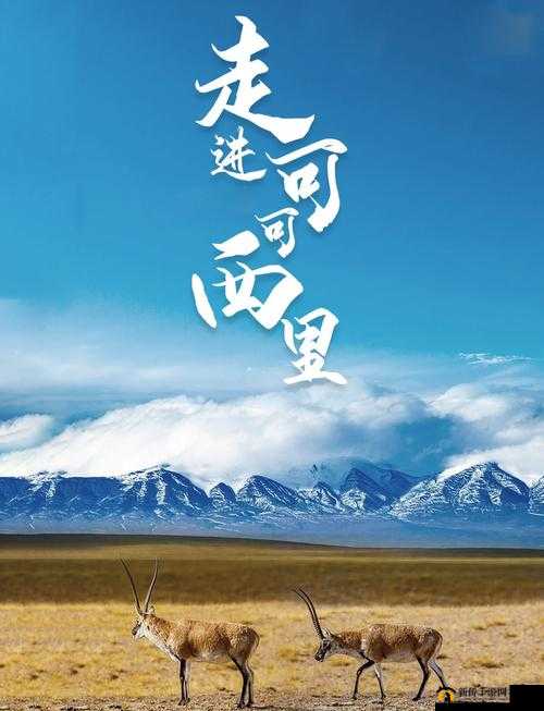 可可西里大但人文艺术：探索其独特魅力与深厚内涵的精彩之旅
