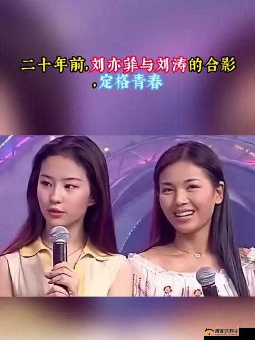 杨幂、刘亦菲、郑爽、刘涛推推：探究娱乐圈的风云变幻