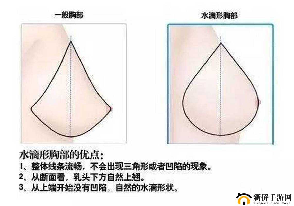 水滴形和圆形丰胸对比：你更钟意哪一种？