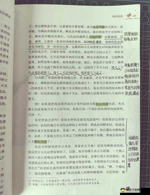 怎么知道是不是顶到头了：探寻其中的奥秘与判断方法