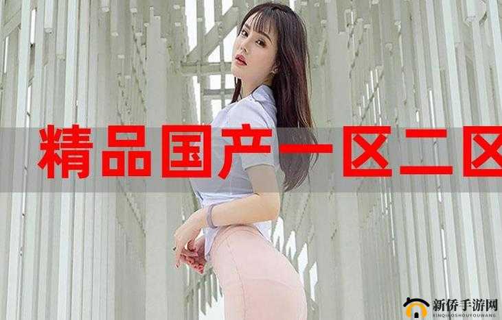 国精产品zzlg77777有什么特点：深入探究其独特之处与优势表现