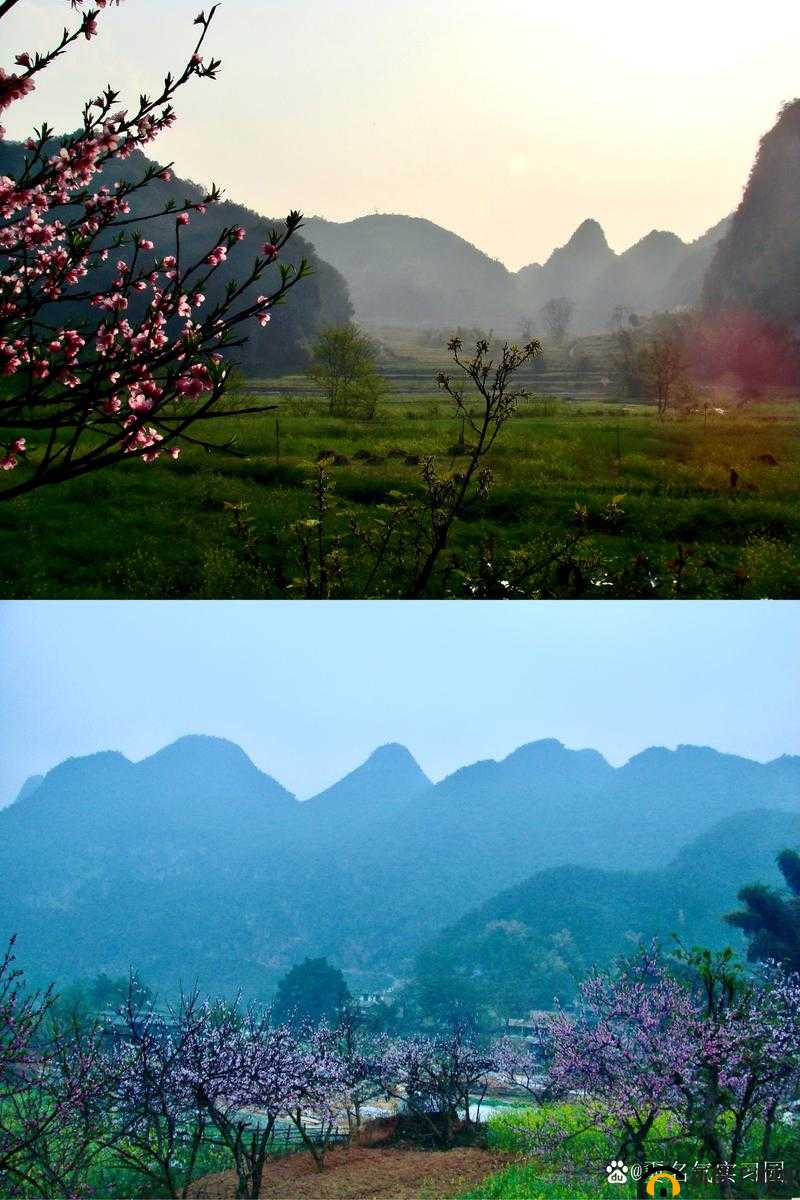 世外桃源的生命之源：桃花源口水潺潺