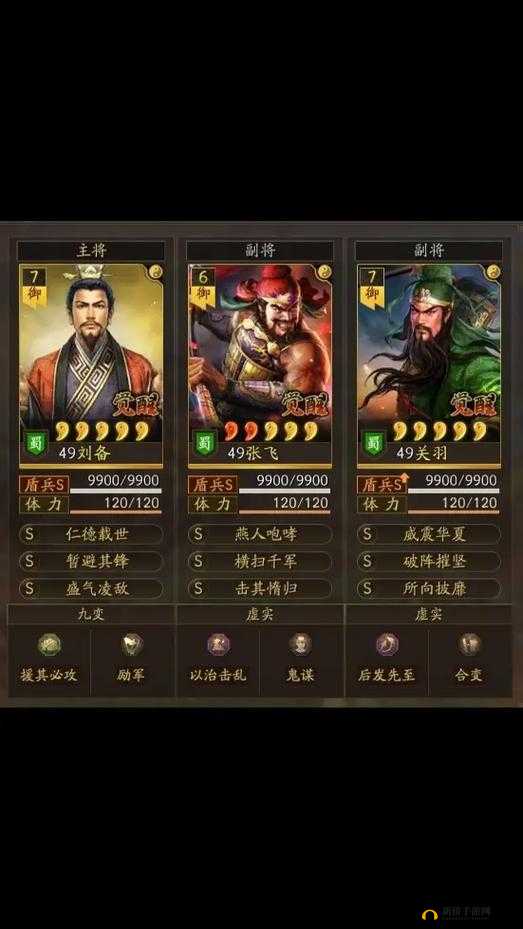 三国志·战略深度探索，揭秘历史战役中的策略与智慧奥秘