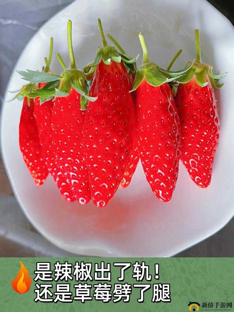 成都香蕉草莓科技有限公司引领科技潮流创新发展