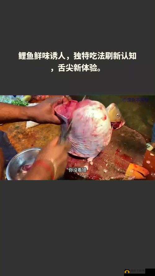两人一人吃 10 分钟：美食挑战背后的独特体验与故事