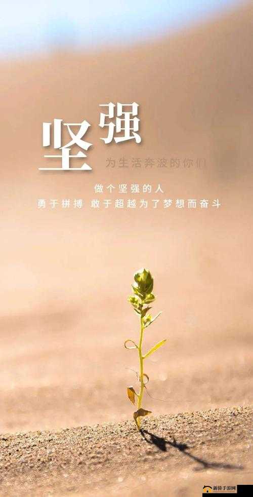 2021 天天干：坚持不懈努力奋斗创造美好未来