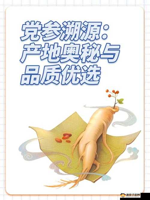 探寻 99 国精产品品质溯源，揭开神秘面纱