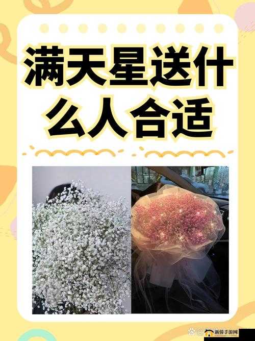 啄木鸟满天星交易相关：独特交易引发关注与探讨