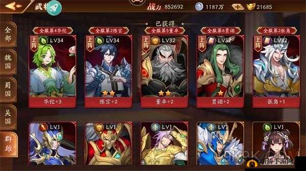 放开那三国3深度解析，掌握通关技巧，揭秘完美通关的不为人知奥秘