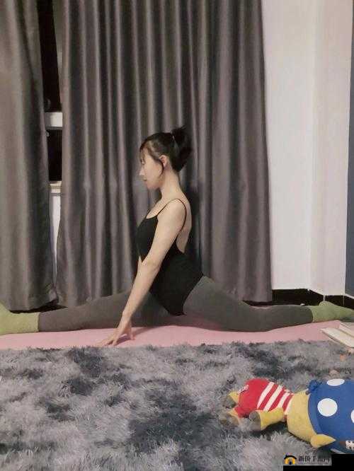 揭秘绝对演绎，芭蕾形体基础考试全面解析与备考攻略