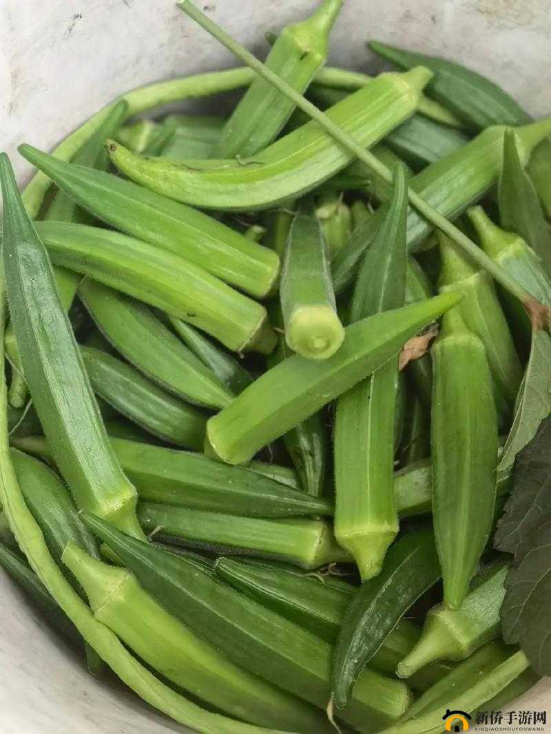 不可描述的水果：草莓菠萝黄瓜榴莲秋葵大全