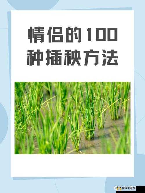 24 种男女插秧法提高效率：提高农业生产的有效途径