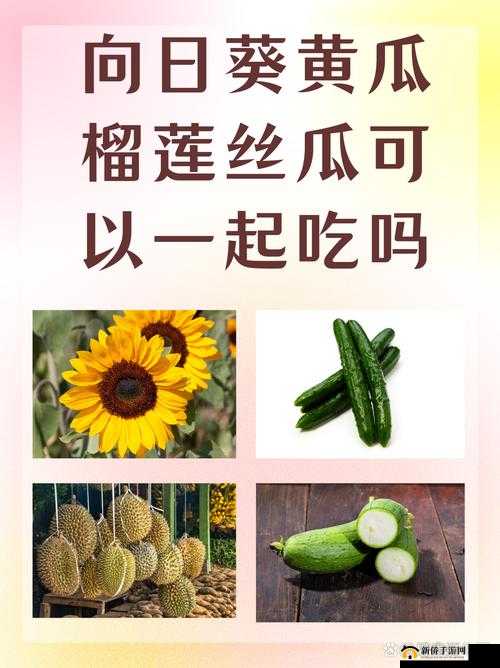 向日葵黄瓜榴莲丝瓜可以一起吃吗：食物搭配的疑问探讨
