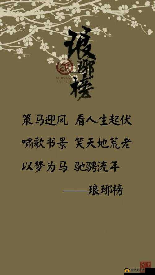 啊哈有人来了啊哈风调禹顺的含义是什么：深度解析其背后的奥秘