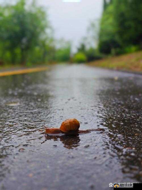 外勤中突然下雨麻妃的意外遭遇：雨中的别样情境