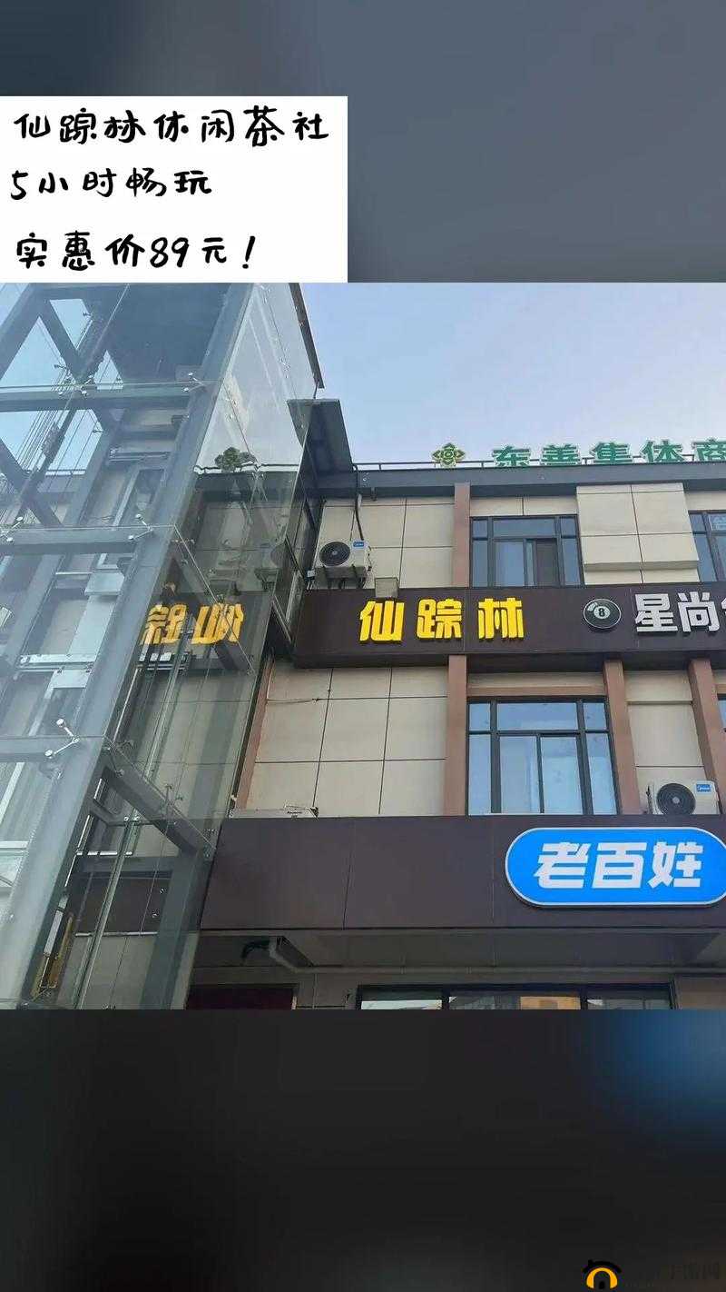 仙踪林 company-Limited19：探寻独特的茶饮体验之旅