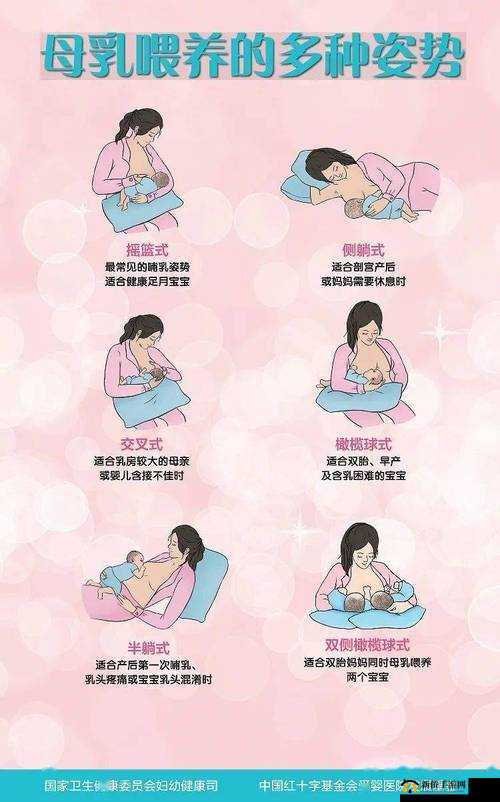 gogogo 哺乳：关于哺乳的详细解读与重要意义探讨