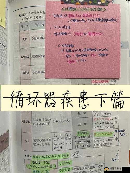 JLZZ 日本人年轻护士的专业护理日常与故事