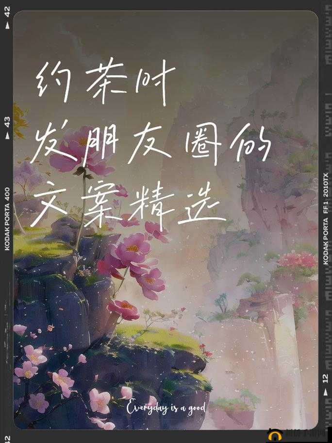 500 一晚同城约茶：探寻背后的故事与意义