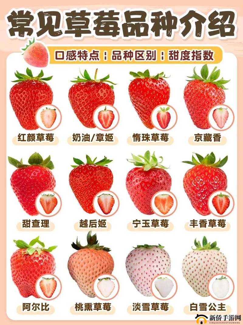 迈开腿吃草莓对男性性功能好吗：深度探究背后的真相
