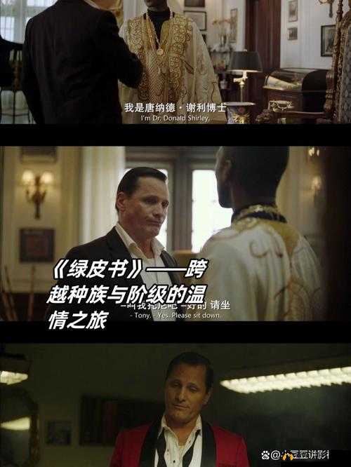 欧美 xax：一段跨越文化与情感的旅程