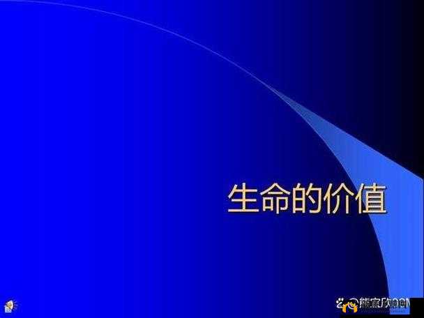 zzljzzlj：探寻生命的意义与价值